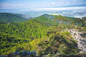 NP Velká Fatra: Ružomberok v Apartmánovém domě Fatrapark se snídaní, welcome drinkem a kávou + akce na masáž