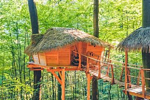 Trenčianske Teplice: Jedinečný pobyt uprostřed přírody v domku na stromě Treehouse až pro 4 osoby + snídaně