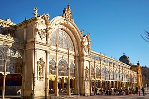 Mariánské Lázně v Hotelu Pelikán *** s polopenzí, vstupem do bazénu s vířivkou a až 4 wellness procedurami