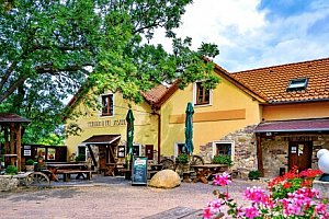 Jižní Morava u Znojma v Penzionu U Tří Jasanů se snídaněmi, vínem, poukazem do restaurace/pizzerie a slevami