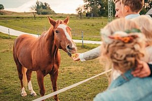 Hrubý Jeseník v Penzionu Nad stájí se snídaní nebo polopenzí, bazénem a finskou saunou + zapůjčení elektrokol