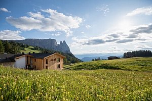 Wellness pobyt v Jižním Tyrolsku: Seiser Alm v Hotelu Seelaus **** s polopenzí, krytým bazénem a 2 saunami