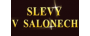logo salon-slevy