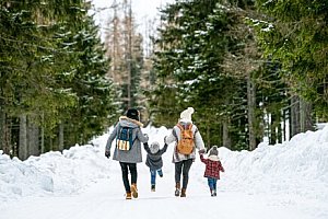 Pobyt (nejen) pro turisty nedaleko Slapské a Orlické přehrady v retro Penzionu Dalmo s bazénem + snídaně