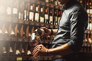 Jižní Morava u Znojma a rakouských hranic: Penzion Šatovské Lípy se snídaní či polopenzí a degustací + drink