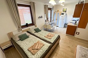 Nesvady jen 750 m od termálů: Apartmán Losonci se slevou na vstup do lázní + zapůjčení kol a bohaté vyžití