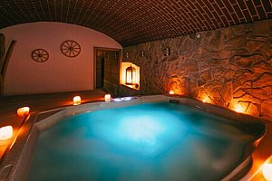 Žďárské vrchy blízko ski areálů: Pobyt ve Wellness penzionu Marta s polopenzí a procedurou + vyžití pro děti