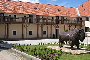 Přírodní park Česká Kanada: Nevšední pobyt na Bison Ranchi Rožnov se snídaní či polopenzí + víno a občerstvení